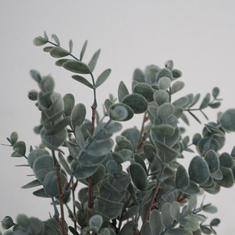 Artificial eucalyptus stems by Glow Ritual