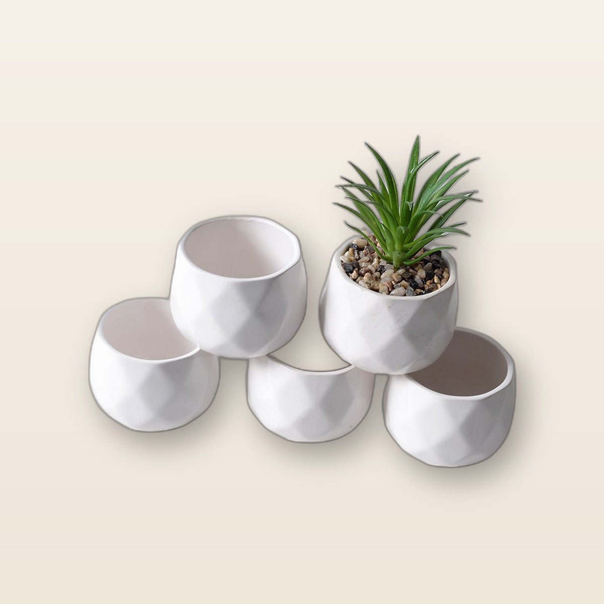 Mini ceramic succulent pots by Glow Ritual