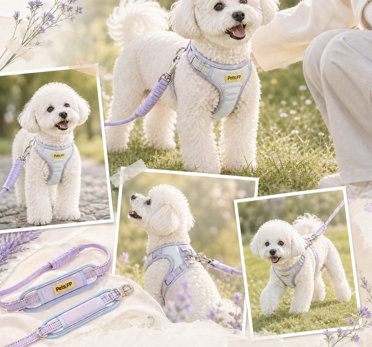 Dog harness and leash set by Glow Ritual