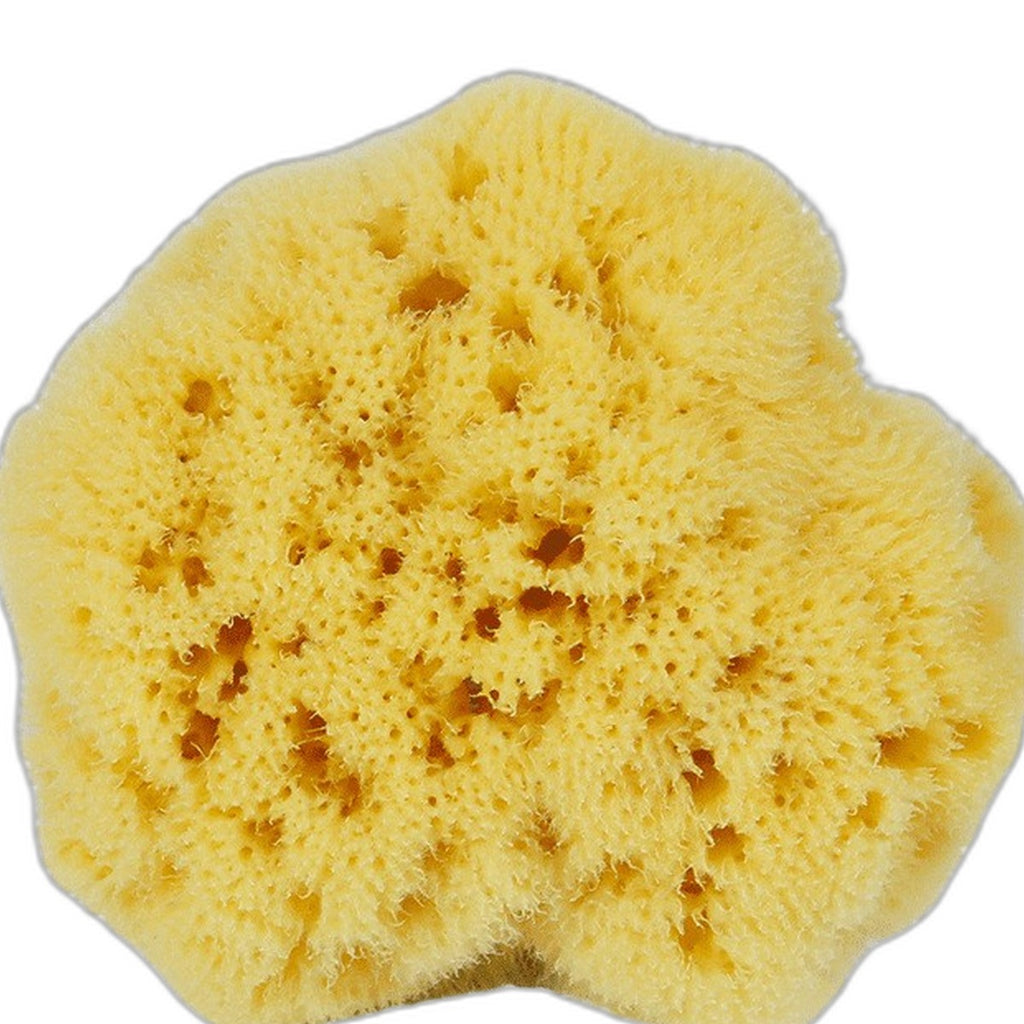 Natural Mediterranean sea sponge by Glow Ritual