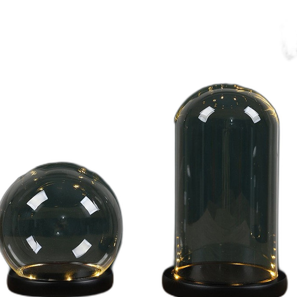 Glass dome display with LED base by Glow Ritual