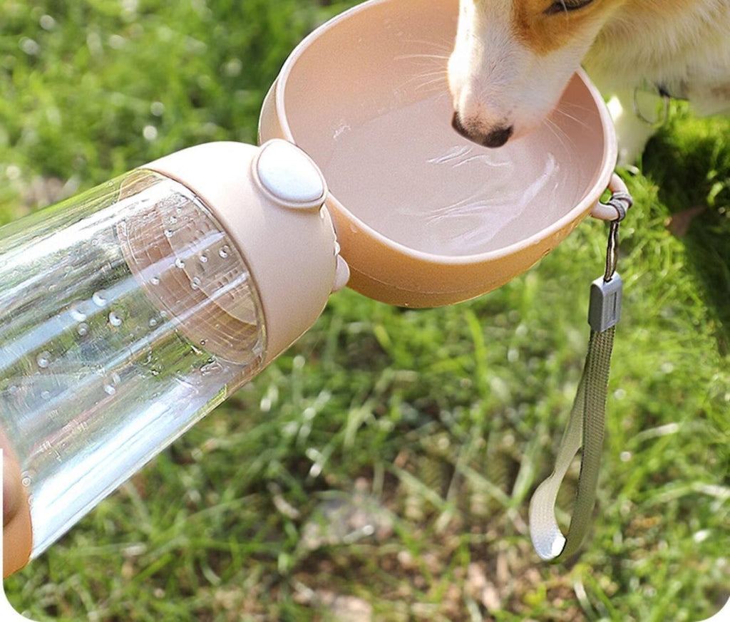 Portable pet water bottle by Glow Ritual