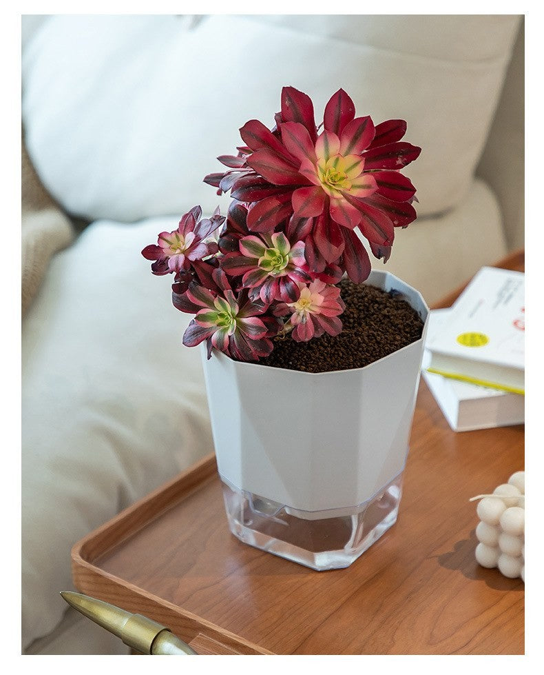 Self-watering planter by Glow Ritual