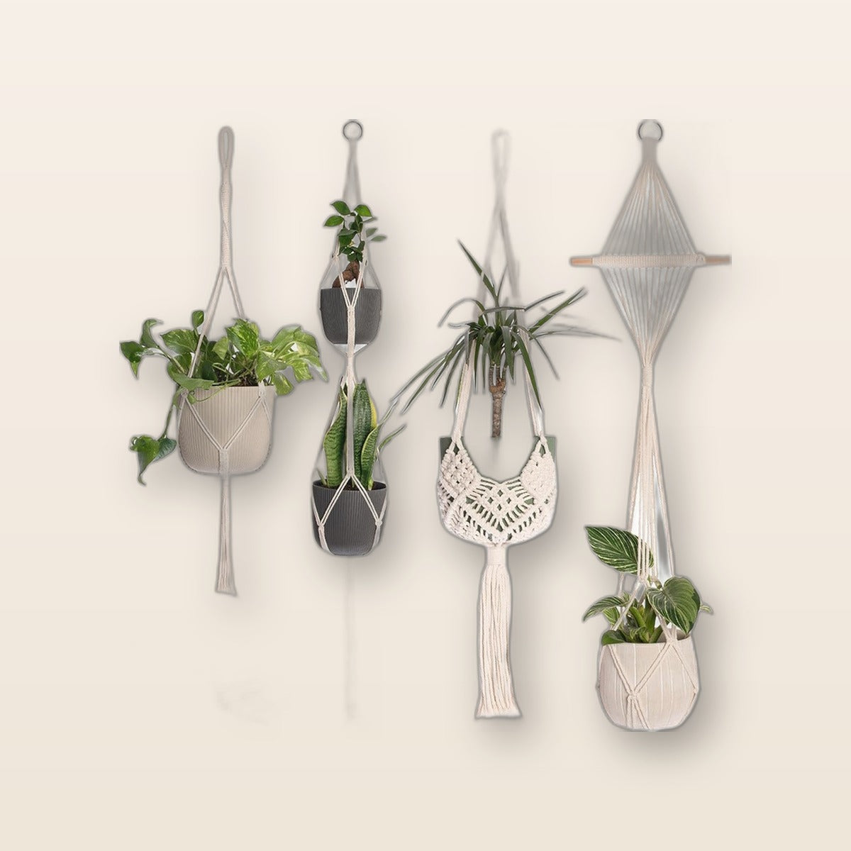 Macrame plant hangers by Glow Ritual