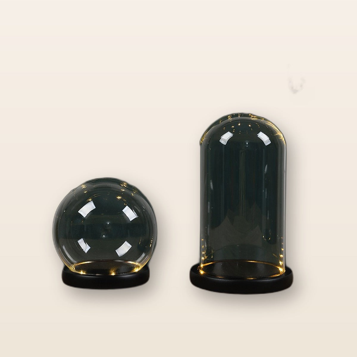 Glass dome display with LED base by Glow Ritual