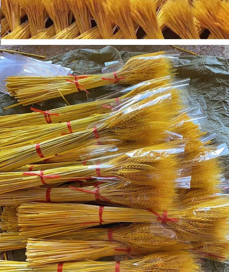 Dried wheat bundle by Glow Ritual