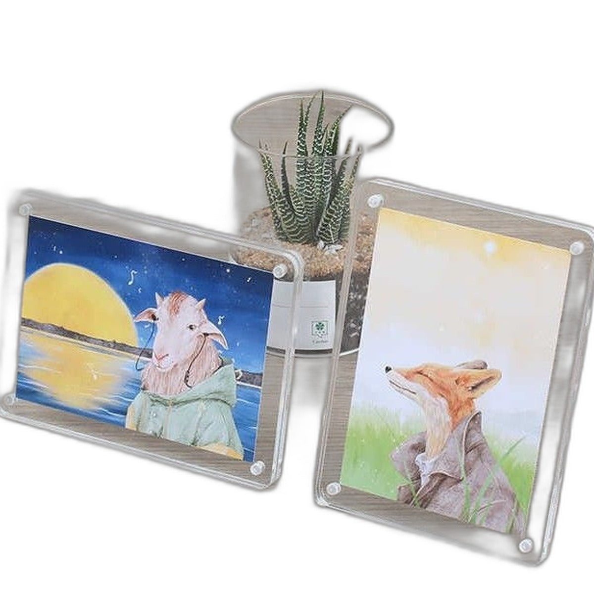 Acrylic photo frame by Glow Ritual