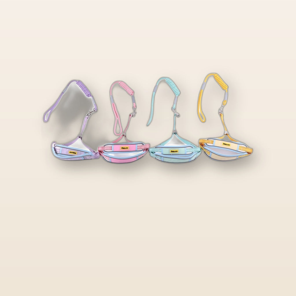Dog harness and leash set by Glow Ritual