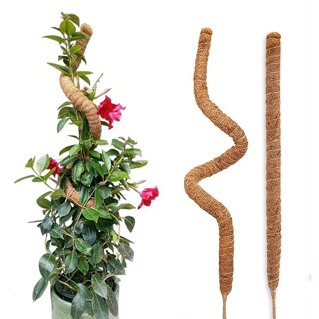 Bendable moss pole by Glow Ritual