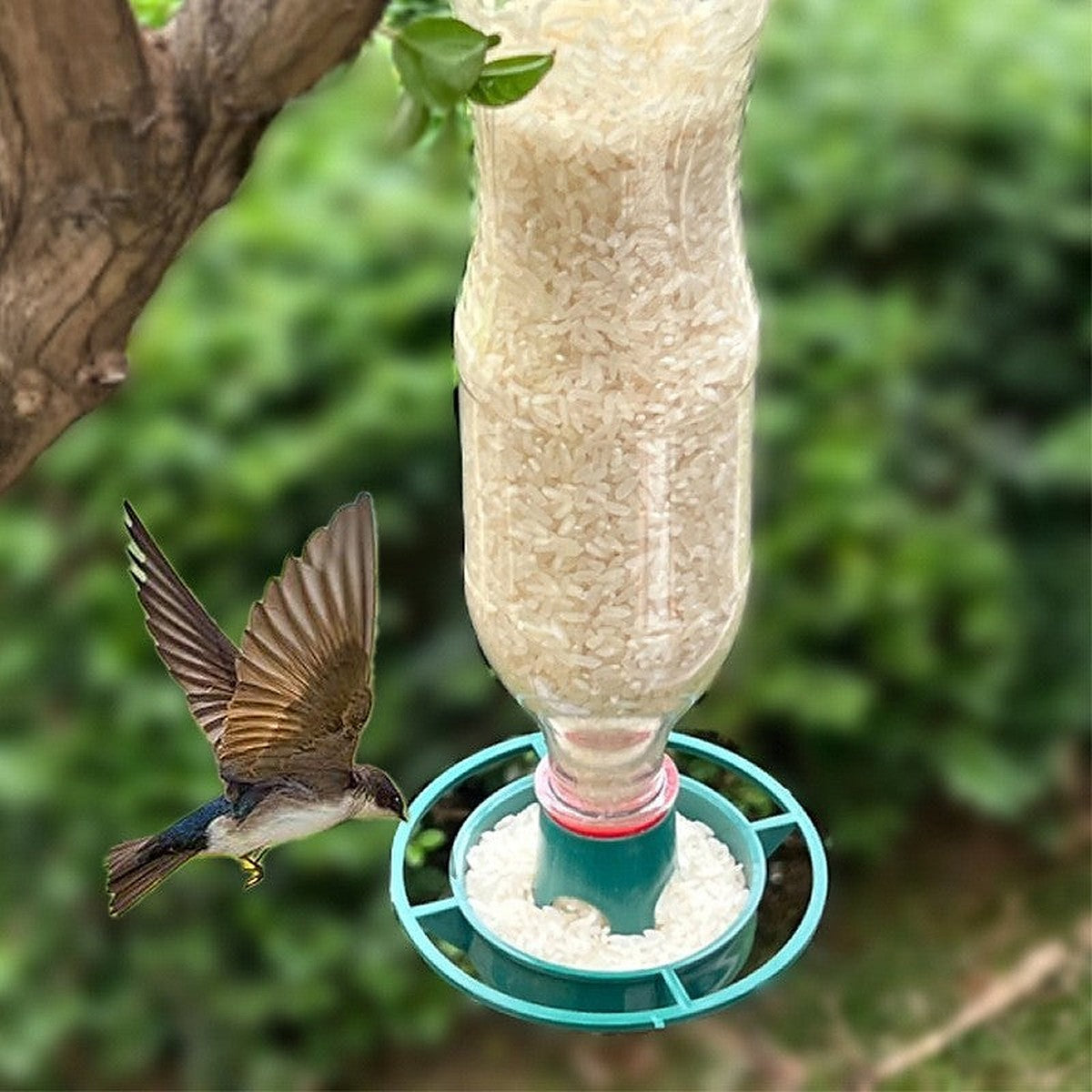 Bottle-top bird feeder by Glow Ritual