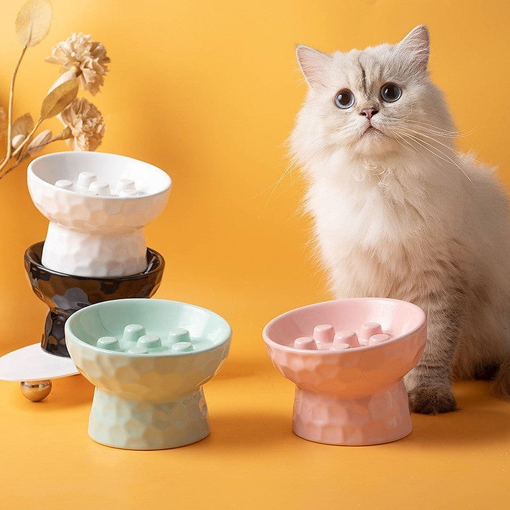 Raised ceramic cat bowl by Glow Ritual