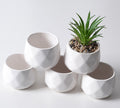 Mini ceramic succulent pots by Glow Ritual