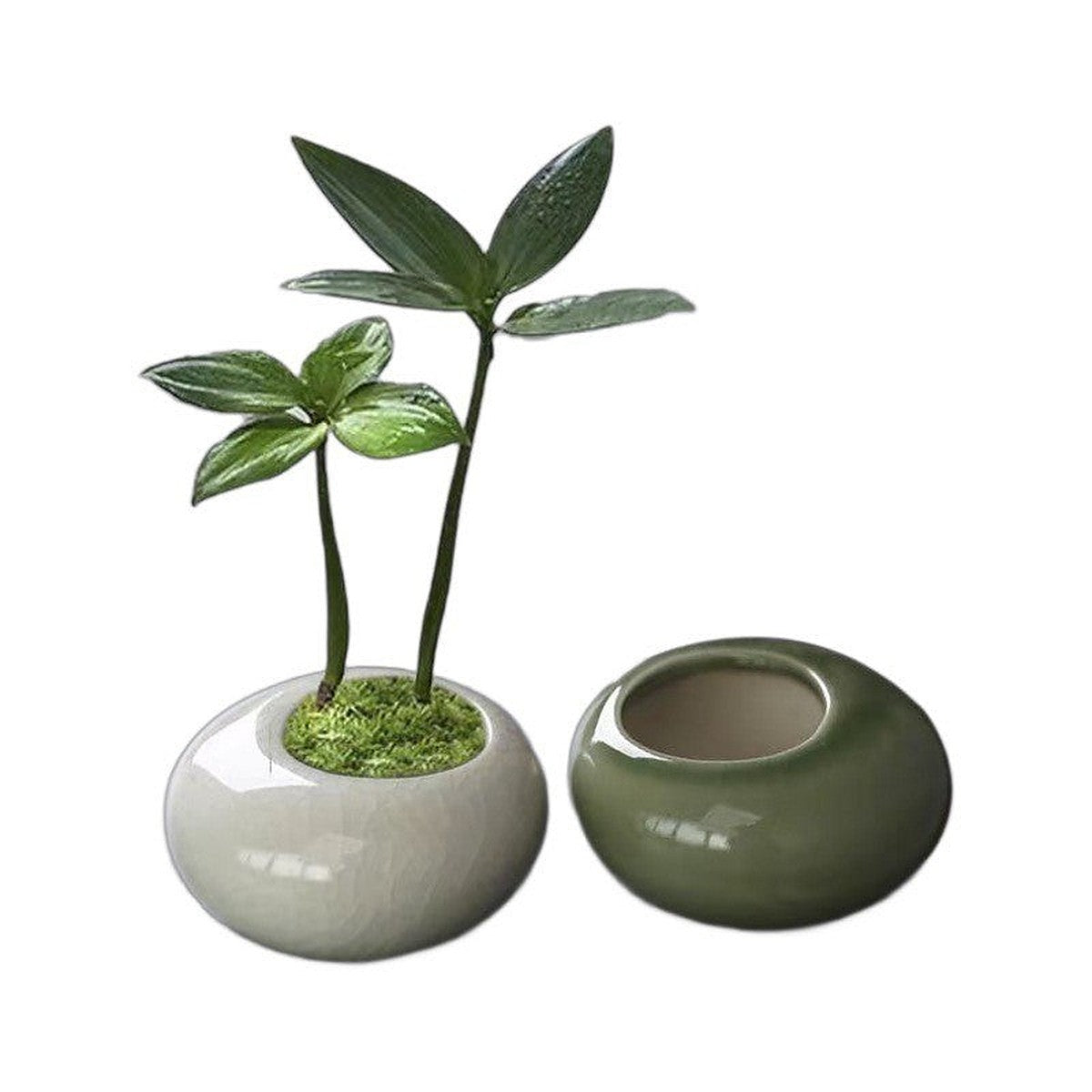 Mini ceramic planter set by Glow Ritual