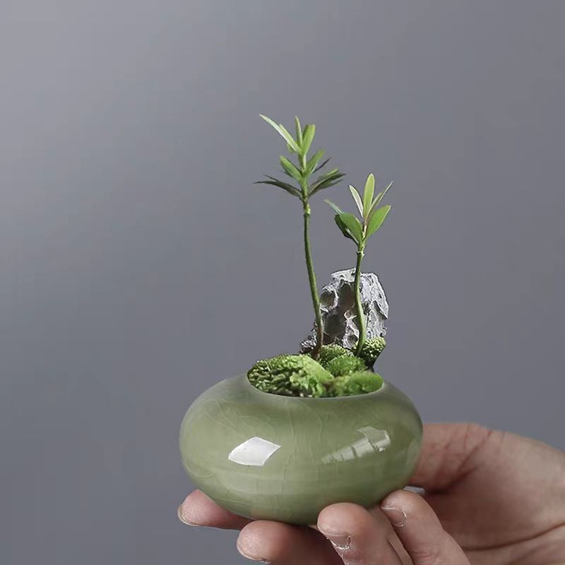Mini ceramic planter set by Glow Ritual