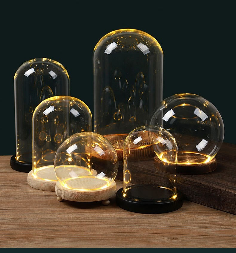 Glass dome display with LED base by Glow Ritual