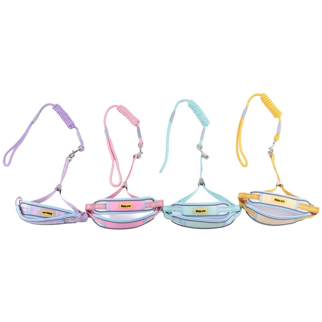 Dog harness and leash set by Glow Ritual