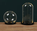 Glass dome display with LED base by Glow Ritual
