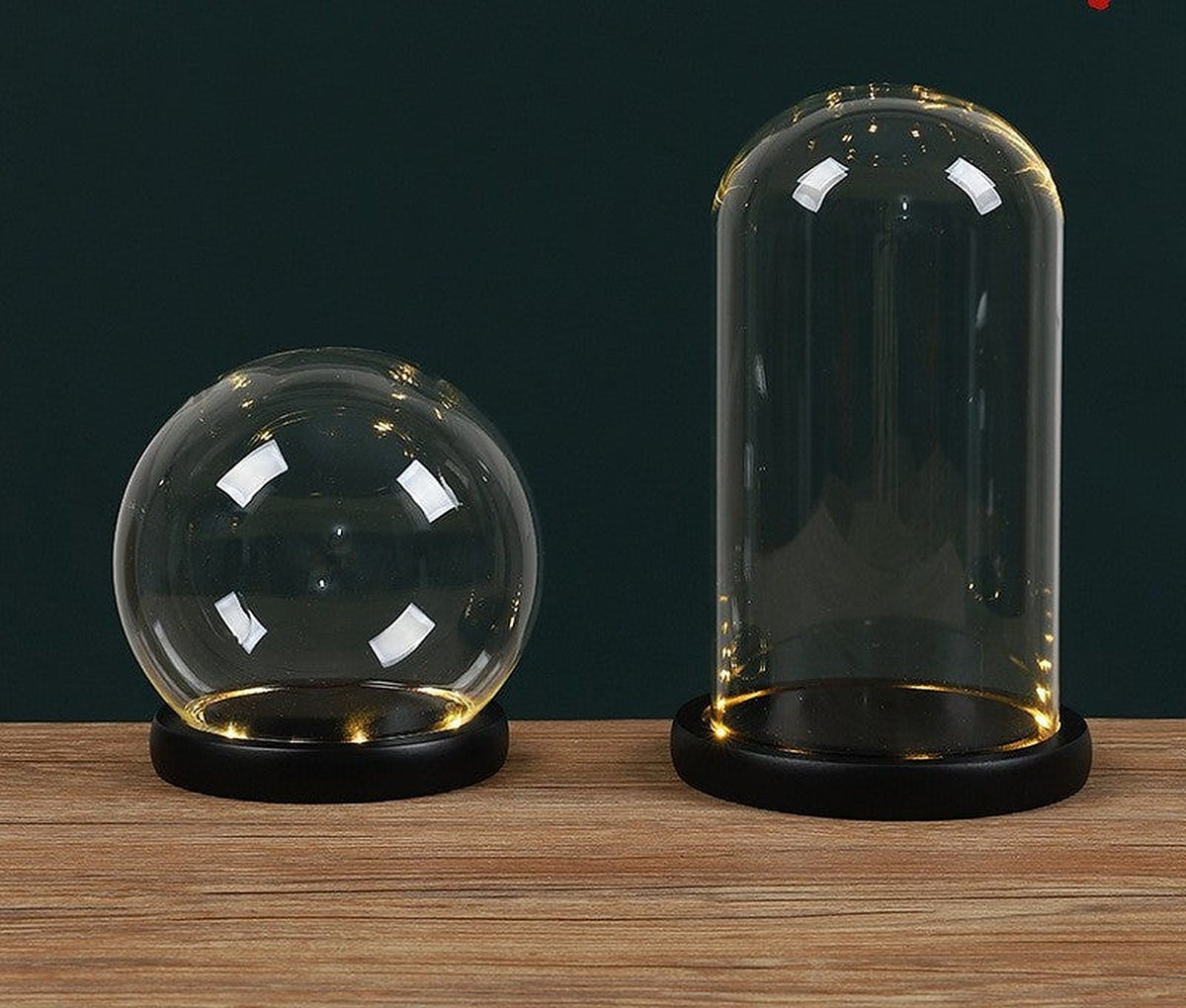 Glass dome display with LED base by Glow Ritual