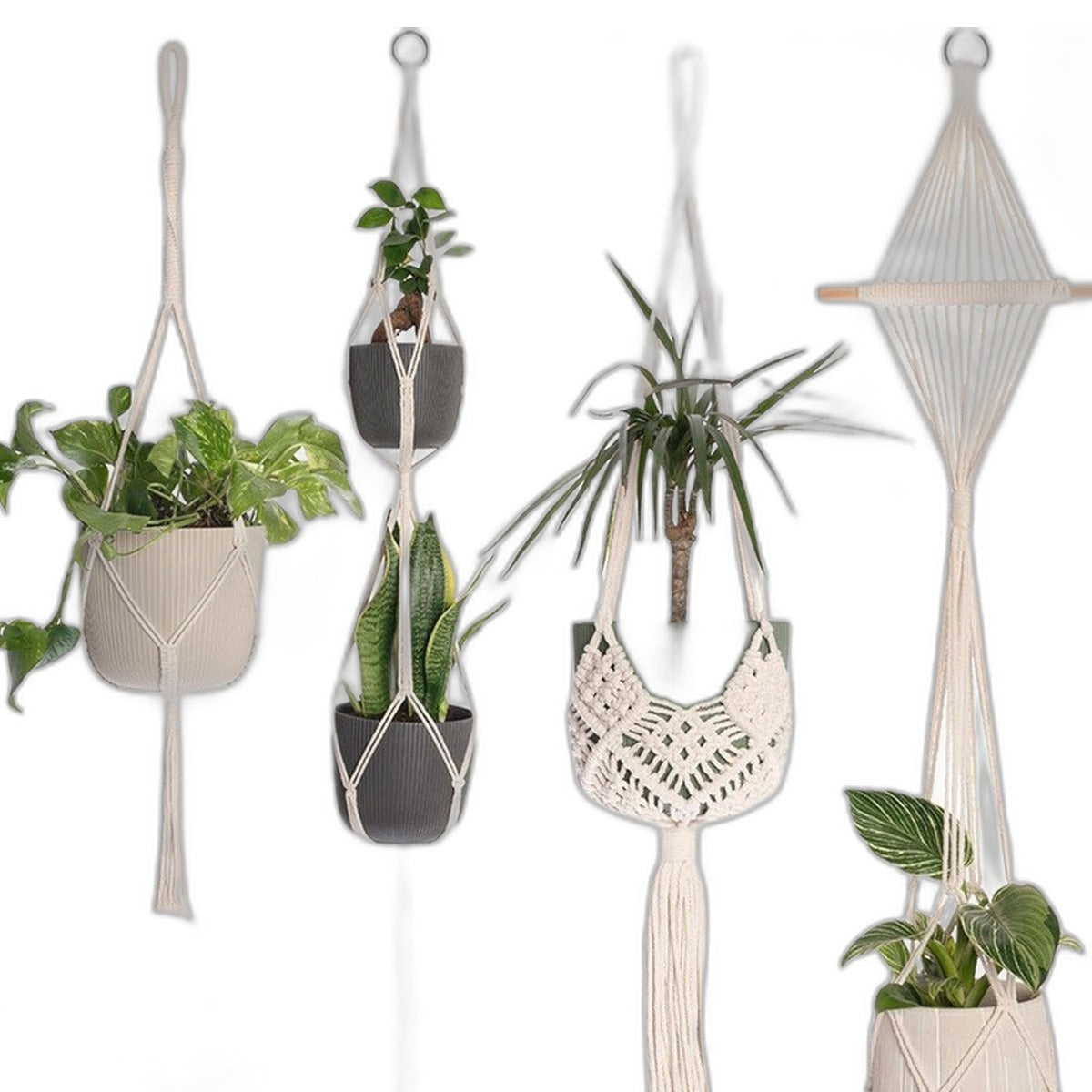 Macrame plant hangers by Glow Ritual