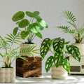 Faux potted plant by Glow Ritual