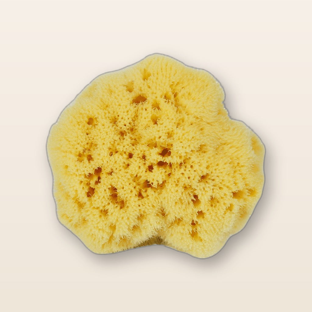 Natural Mediterranean sea sponge by Glow Ritual