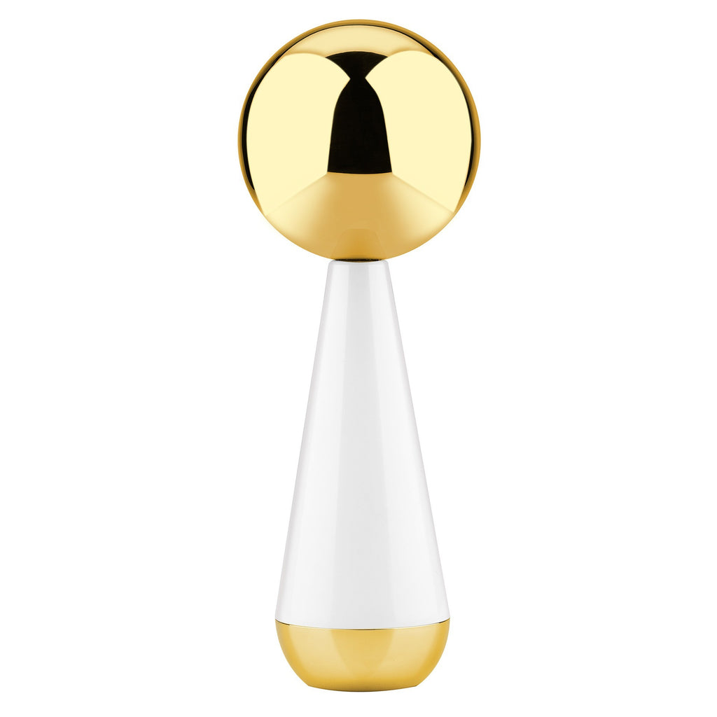 Stainless steel ice roller ball by Glow Ritual