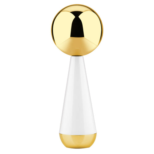 Stainless steel ice roller ball by Glow Ritual