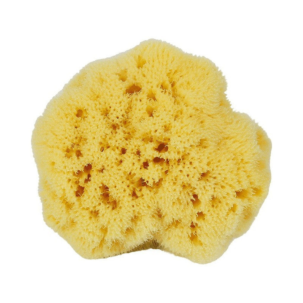 Natural Mediterranean sea sponge by Glow Ritual