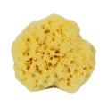 Natural Mediterranean sea sponge by Glow Ritual
