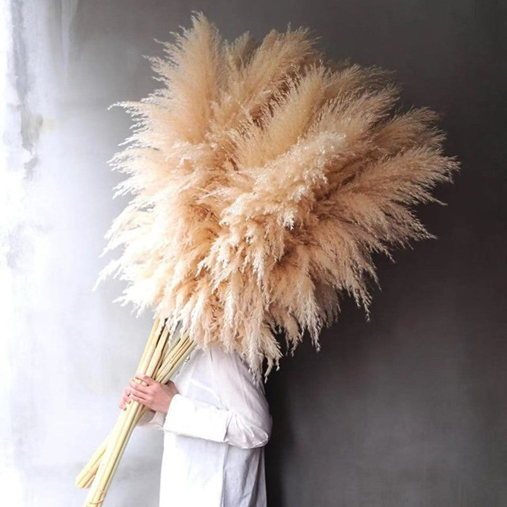 Natural dried cattail reeds by Glow Ritual
