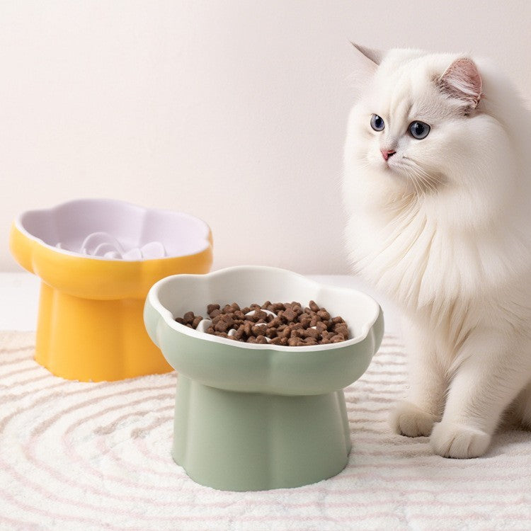 Elevated ceramic cat bowl by Glow Ritual