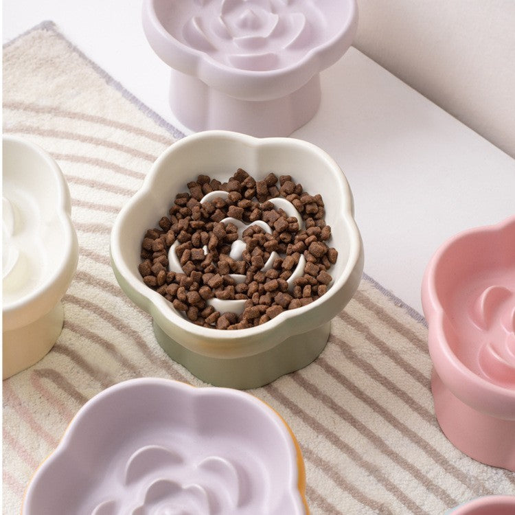 Elevated ceramic cat bowl by Glow Ritual