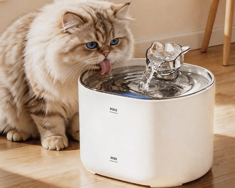 Cat water fountain by Glow Ritual