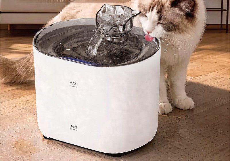 Cat water fountain by Glow Ritual