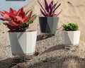 Self-watering planter by Glow Ritual