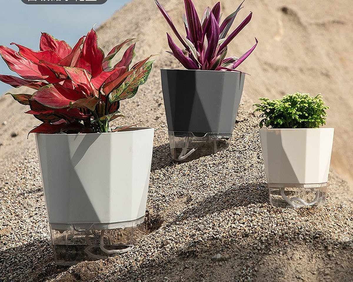 Self-watering planter by Glow Ritual