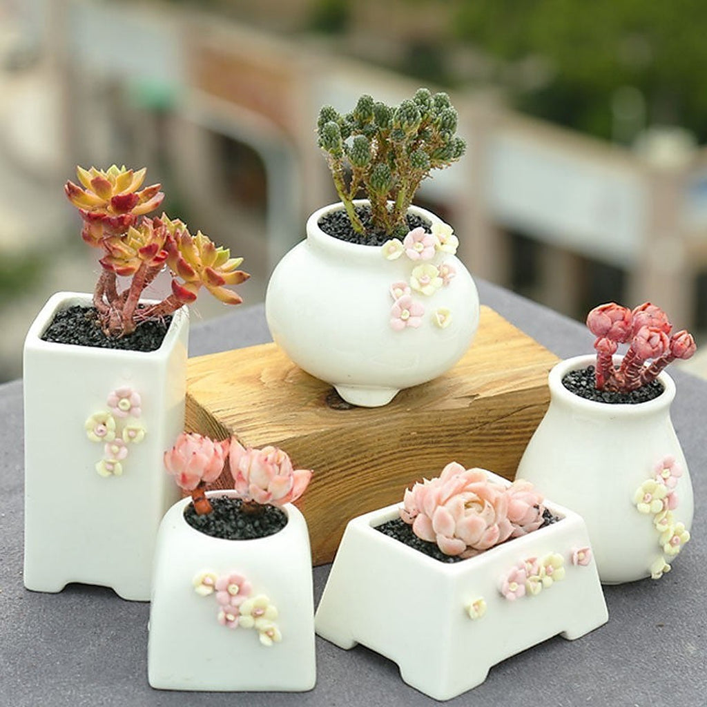 Succulent pots set by Glow Ritual